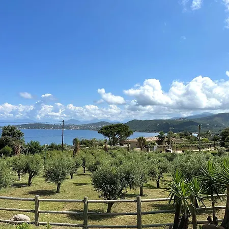 Aigue Marine